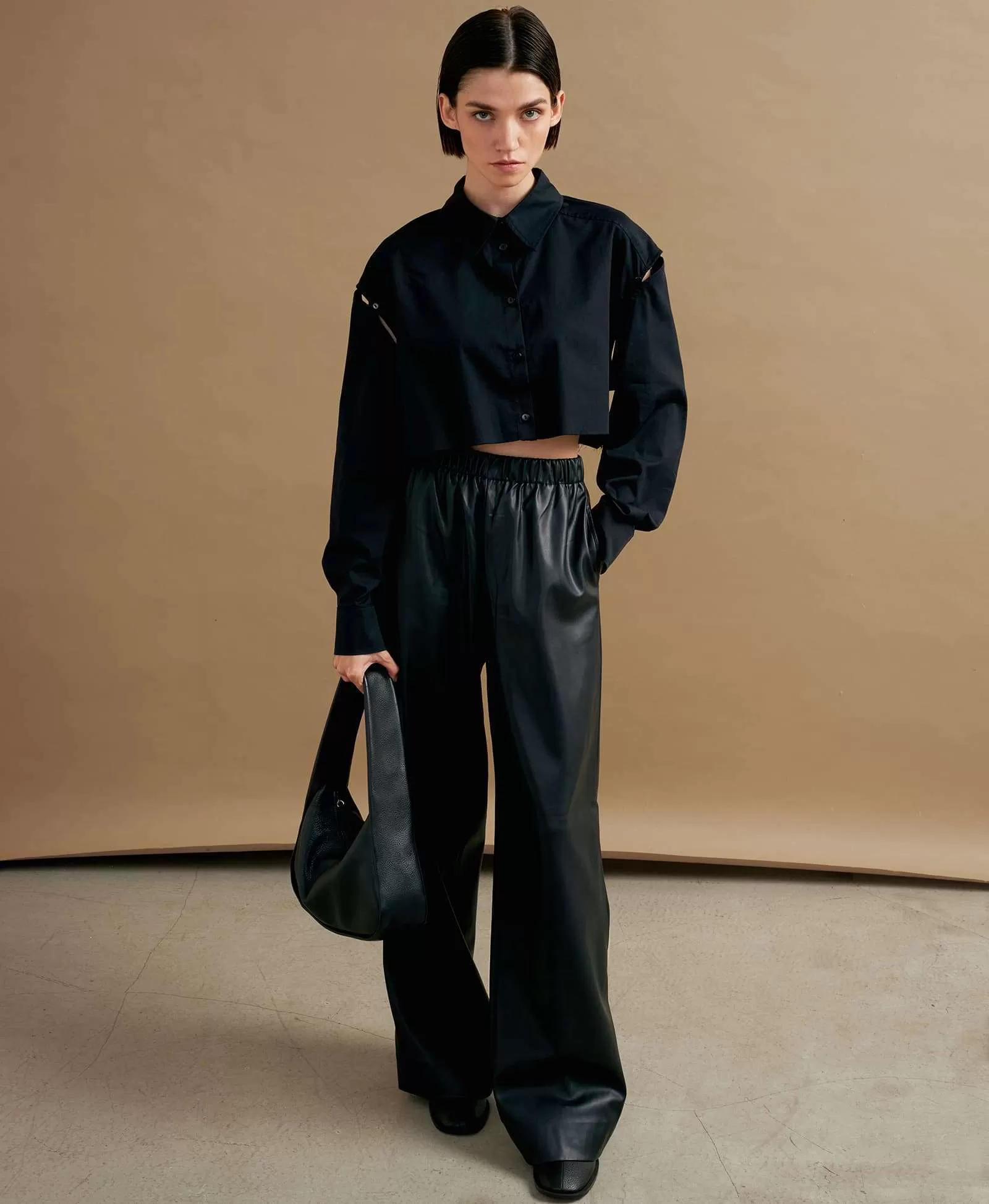 Сумка БАО. Вид 1