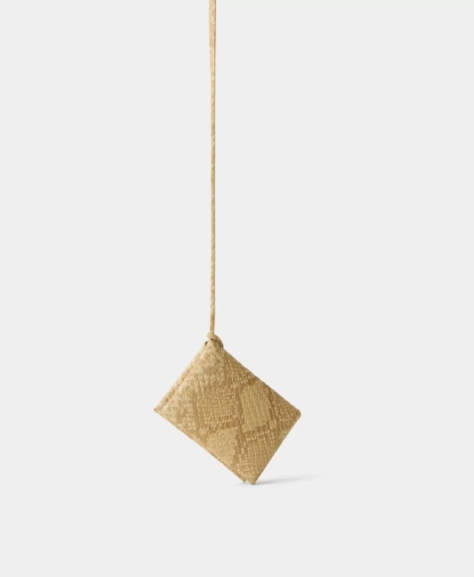 Футляр . Вид 1